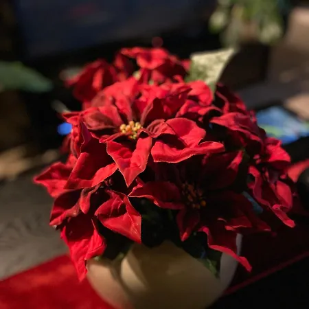 Apartamento Vakker Og Romslig Pa Kvaloysletta Tromsø