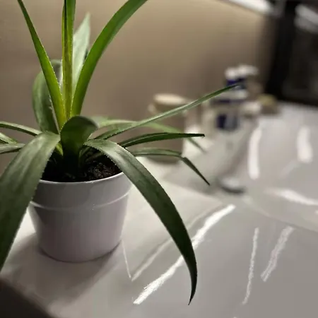 Vakker Og Romslig Pa Kvaloysletta Apartamento Tromsø