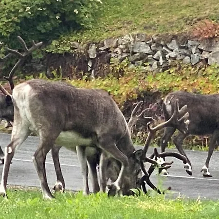 Vakker Og Romslig Pa Kvaloysletta Apartamento *