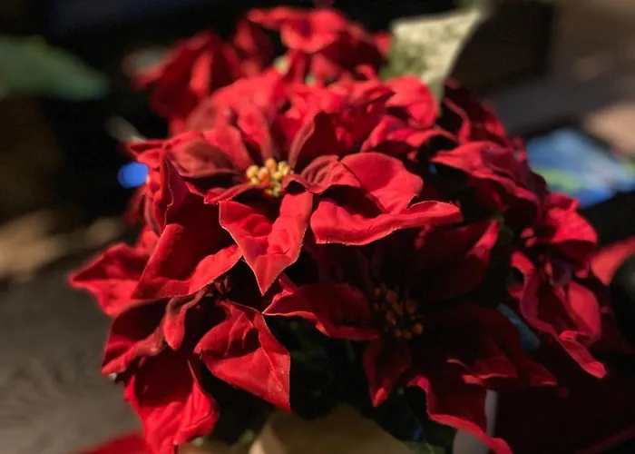 Apartment Vakker Og Romslig Pa Kvaloysletta Tromsø